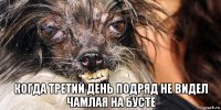  когда третий день подряд не видел чамлая на бусте
