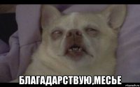  благадарствую,месье