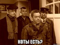  коты есть?