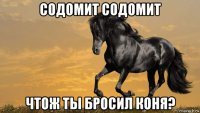 содомит содомит чтож ты бросил коня?