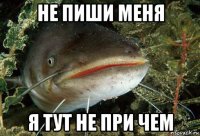 не пиши меня я тут не при чем