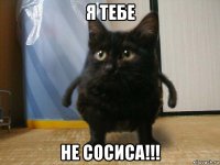 я тебе не сосиса!!!