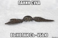 панин сука выкопаюсь - убью
