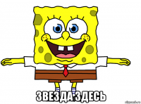  звезда здесь