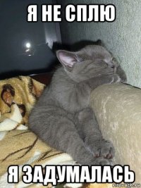 я не сплю я задумалась