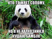 кто-то жрет солому но я не халхозник,я кушаю бамбук