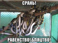 срань! равенство! бляцтво!