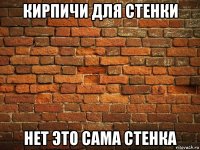 кирпичи для стенки нет это сама стенка