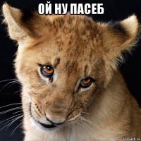 ой ну пасеб 