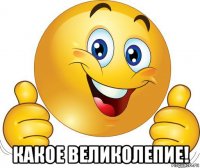  какое великолепие!