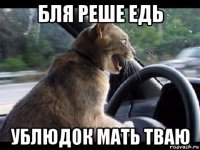 бля реше едь ублюдок мать тваю
