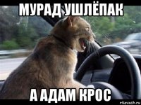 мурад ушлёпак а адам крос