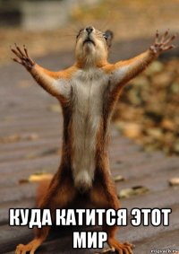  куда катится этот мир