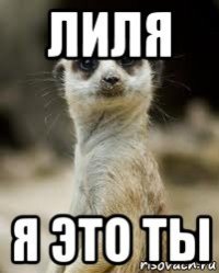 лиля я это ты