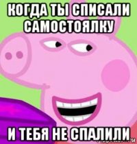 когда ты списали самостоялку и тебя не спалили