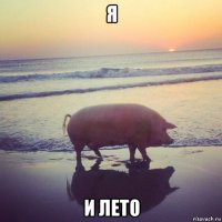 я и лето