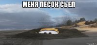 меня песок сьел 