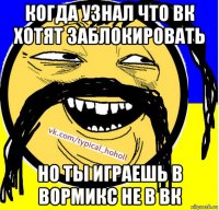 когда узнал что вк хотят заблокировать но ты играешь в вормикс не в вк