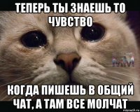 теперь ты знаешь то чувство когда пишешь в общий чат, а там все молчат