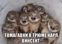  томагавки в трюме карл винсент.
