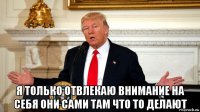  я только отвлекаю внимание на себя они сами там что то делают