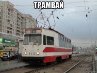 трамвай 