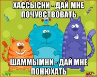 хассысни - дай мне почувствовать шаммымни - дай мне понюхать