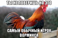 ты не поверишь но это самый обычный игрок вормикса