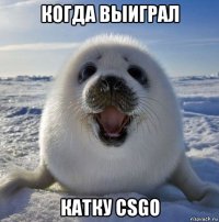 когда выиграл катку csgo
