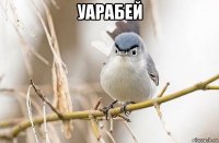 уарабей 