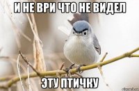 и не ври что не видел эту птичку