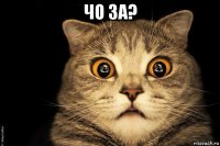 чо за? 