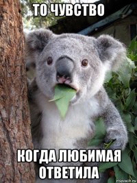 то чувство когда любимая ответила