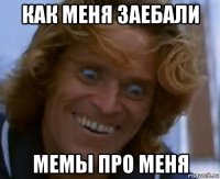 как меня заебали мемы про меня