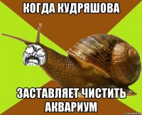 когда кудряшова заставляет чистить аквариум