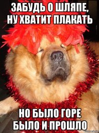 забудь о шляпе, ну хватит плакать но было горе было и прошло