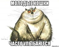молодые кошки часто улыбаются