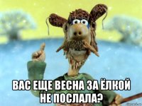  вас еще весна за ёлкой не послала?