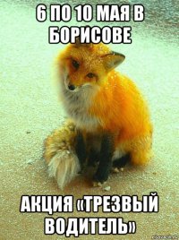 6 по 10 мая в борисове акция «трезвый водитель»