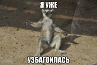 я уже узбагоилась