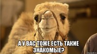  а у вас тоже есть такие знакомые?