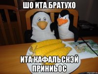 шо ита братухо ита кафальскэй приниьос
