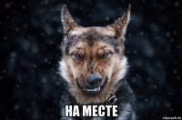 на месте