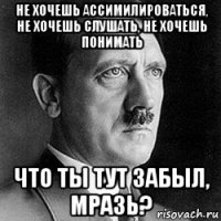 не хочешь ассимилироваться, не хочешь слушать, не хочешь понимать что ты тут забыл, мразь?