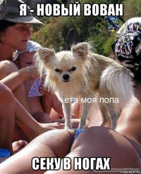 я - новый вован секу в ногах