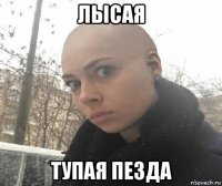 лысая тупая пезда