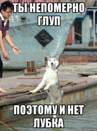 ты непомерно глуп поэтому и нет лубка