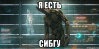 я есть сибгу