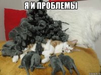я и проблемы 