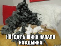  когда рыжики напали на админа